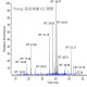 Ylang-comp 完全依蘭
